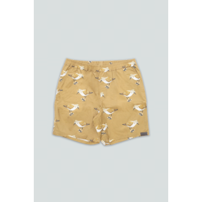 LAKOR - SANDPIPER SHORTS - Starfish