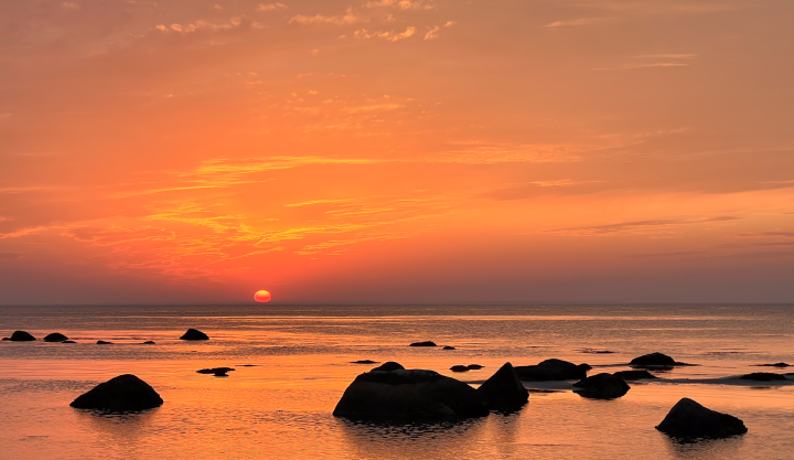 L&aelig;s&oslash;-produkter
