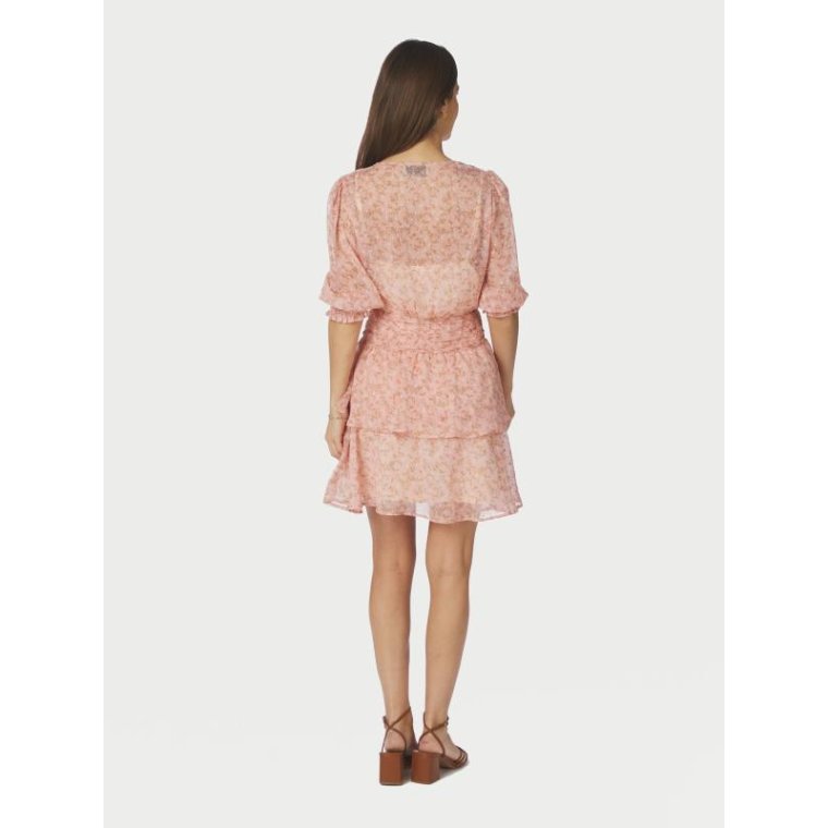 Neo Noir - Rikka Ditsy floral Dress - Rose blush