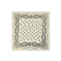 Neo Noir - Adelina Paisley Knit Scarf - Off White