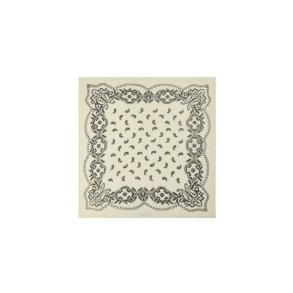 Neo Noir - Adelina Paisley Knit Scarf - Off White