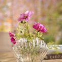 IB LAURSEN - Muslingevase klart glas