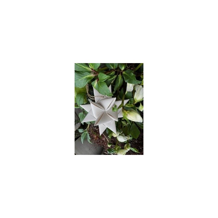 Stjernefabrikken - Sejldug julestjerne - Oyster beige