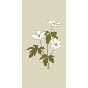 IB LAURSEN - Serviet 10x20 cm anemoner - 16 stk/pk