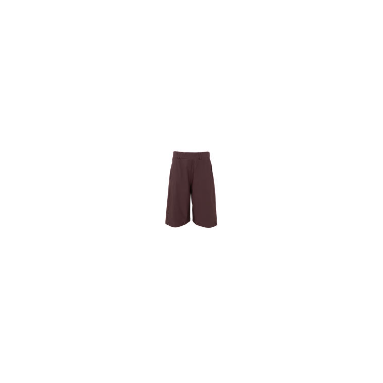 Black Colour - BCDAVINA panel shorts - Coffee