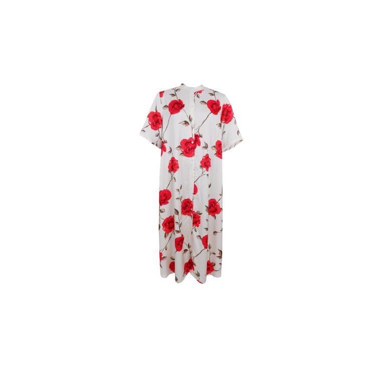 BLACK COLOUR - BCTILLY ROSE dress - Red