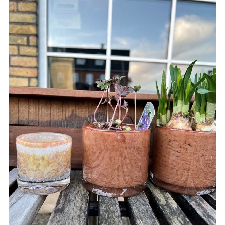 HENRY DEAN - UNIKA GLAS - CORZO