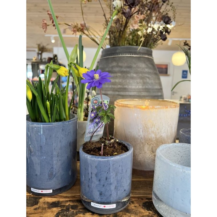 Henry Dean - UNIKA GLAS - PASTEL BLUE