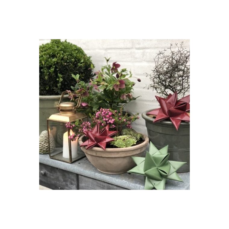 Stjernefabrikken - Lys grn julestjerne