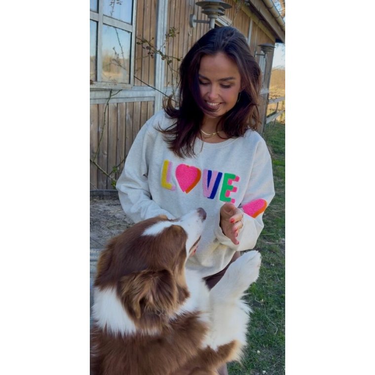 LULU�S LOVE - Love sweatshirt multi double - grey melange