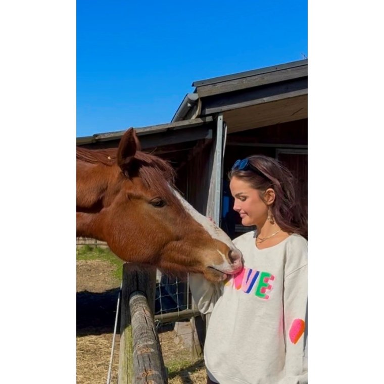 LULU�S LOVE - Love sweatshirt multi double - grey melange