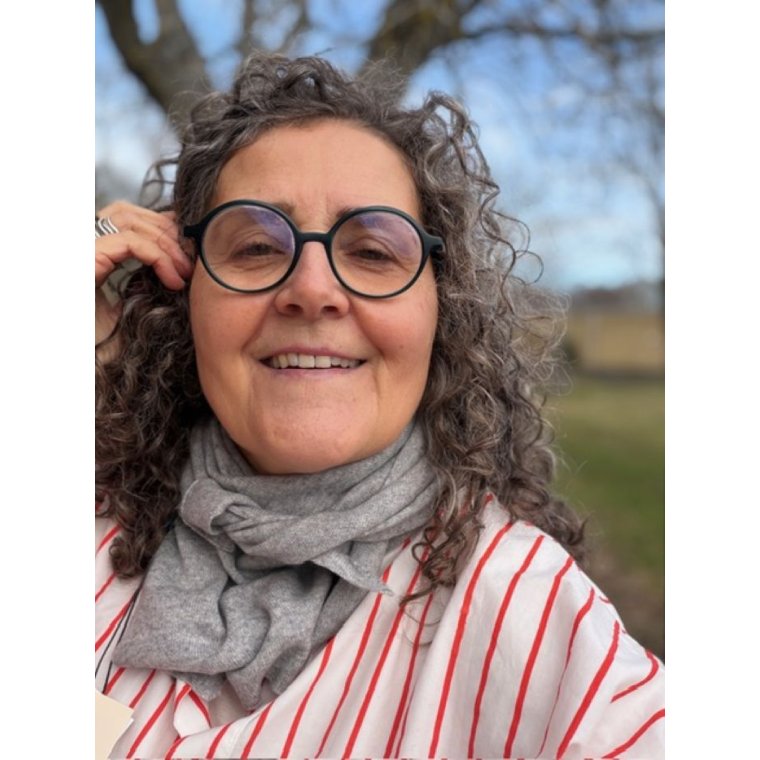 LULU�S LOVE - Cashmere small scarf - Grey Melange