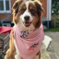 LULU�S LOVE - Cashmere small scarf flower - rose
