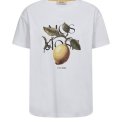 Mos Mosh - MMFruit O-SS Tee - White
