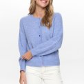 N�MPH - NURIETTO POINTELLE CARDIGAN - Hydrangea