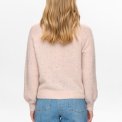 N�MPH - NURIETTO POINTELLE CARDIGAN - Mushroom