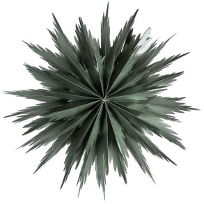 Watt & Veke - Liz 50 - Green