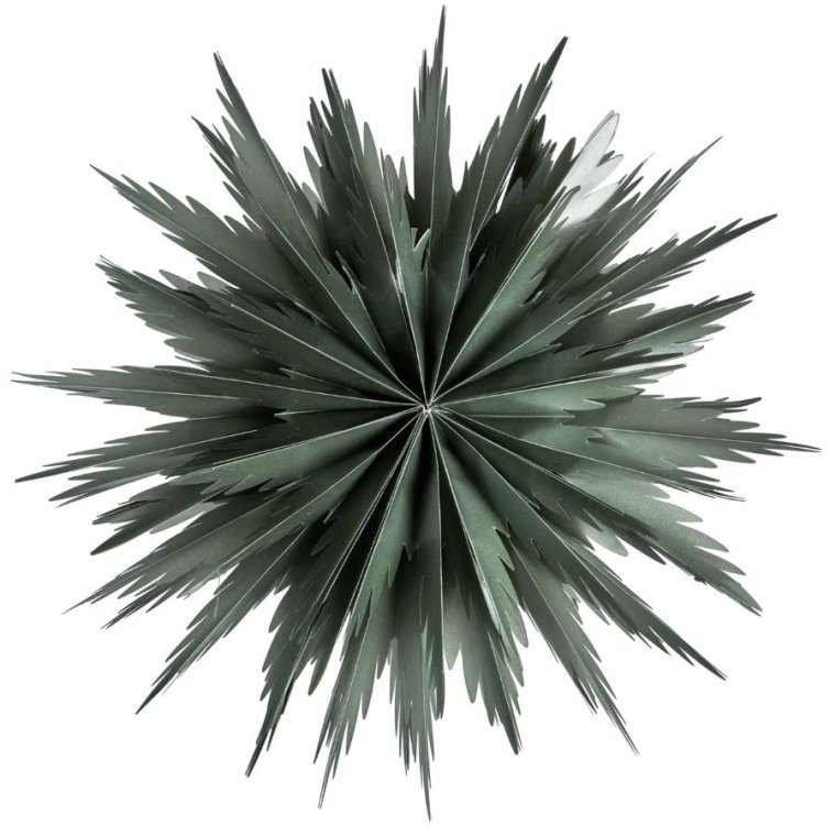 Watt & Veke - Liz 50 White - Green