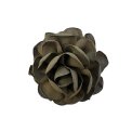 Giant Satin Rose Claw