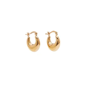 Pico - Ollie Petit Hoops