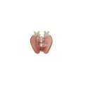 Maanesten - Small Strawberry Hairclaw Cranberry