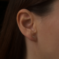 PICO - Starfall Crystal Studs - Forgyldt