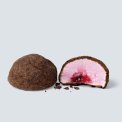 THE MALLOWS - GAVESKE  GOURMET SKUMFIDUSER MED CHOKOLADE - 8 pcs