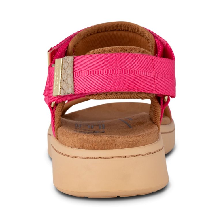 WODEN - Line - Pitaya