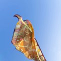 All By Voss - Silket�rkl�de - Wild Nature Authumn