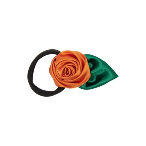 PICO - Aurora Elastic