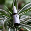 Grums - Renew Niacinamide Booster