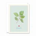 All By Voss - Foldet kort, Danish - B�geskoven