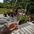 LSSHOPPEN - lglas m/ Ls st af 2